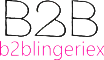 b2blingeriex.com